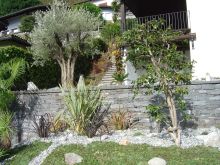 Rifacimento giardino