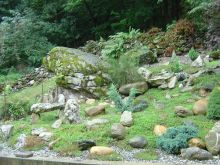 Giardino con rocce